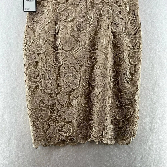 Adrianna Papell Dress Size 6 Lace Overlay Sheath Boat Neck Sleeveless Beige - Picture 6 of 12